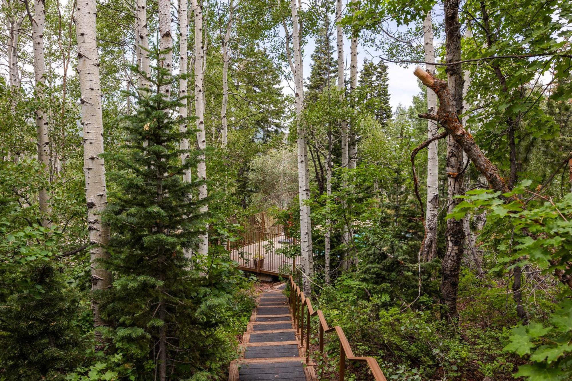 Deer Valley Little Belle Ultimate Ski Getaway, Sleeps 14, Luxury Design, Private Hot Tub, พาร์คซิตี ภายนอก รูปภาพ